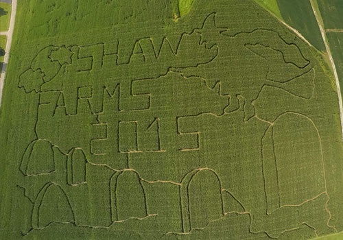 Try your skill in our giant corn maze at Shaw Farms near Cincinnati, Ohio!