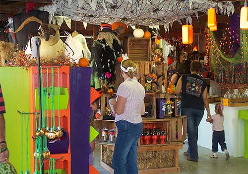 Browse our wide selection of spooky fall decorations and accessories at Shaw Farms near Cincinnati, Ohio.