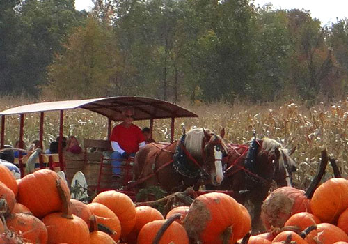 Enjoy a group horse-drawn hayride at Shaw Farms near Cincinnati, Ohio.