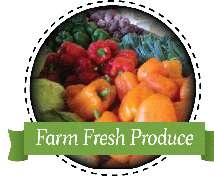 Sink your teeth into locally sourced, farm fresh produce!