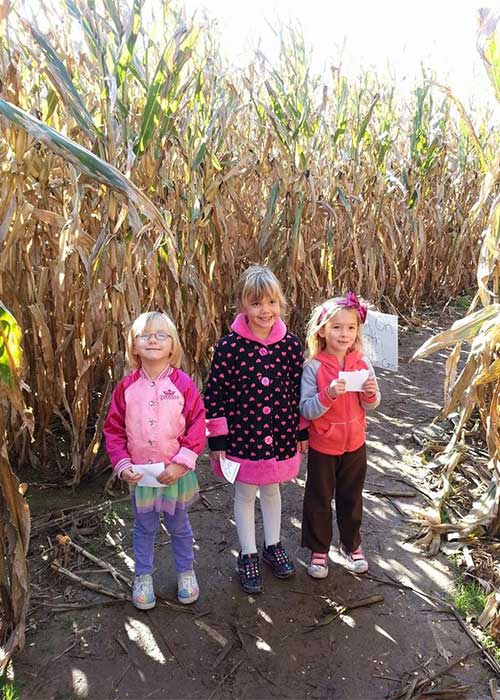 Explore our corn maze at Shaw Farms near Cincinnati, Ohio.