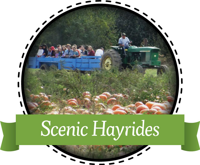 Make a horse-drawn hayride at Shaw Farms near Cincinnati, Ohio a family tradition!