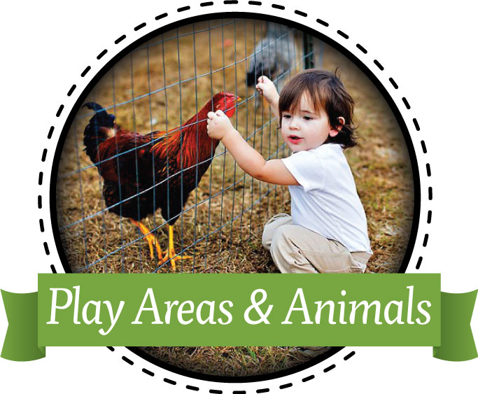 Visit our petting area at Shaw Farms near Cincinnati, Ohio.