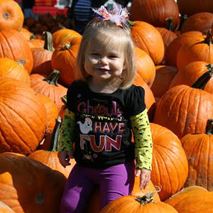Pick-your-own pumpkins at Shaw Farms near Cincinnati, Ohio.